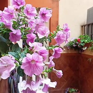  Apartamento La Reina